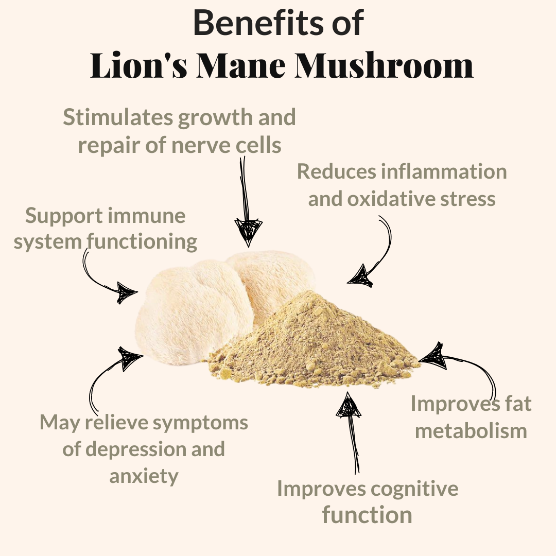 Lion's Mane Mushroom